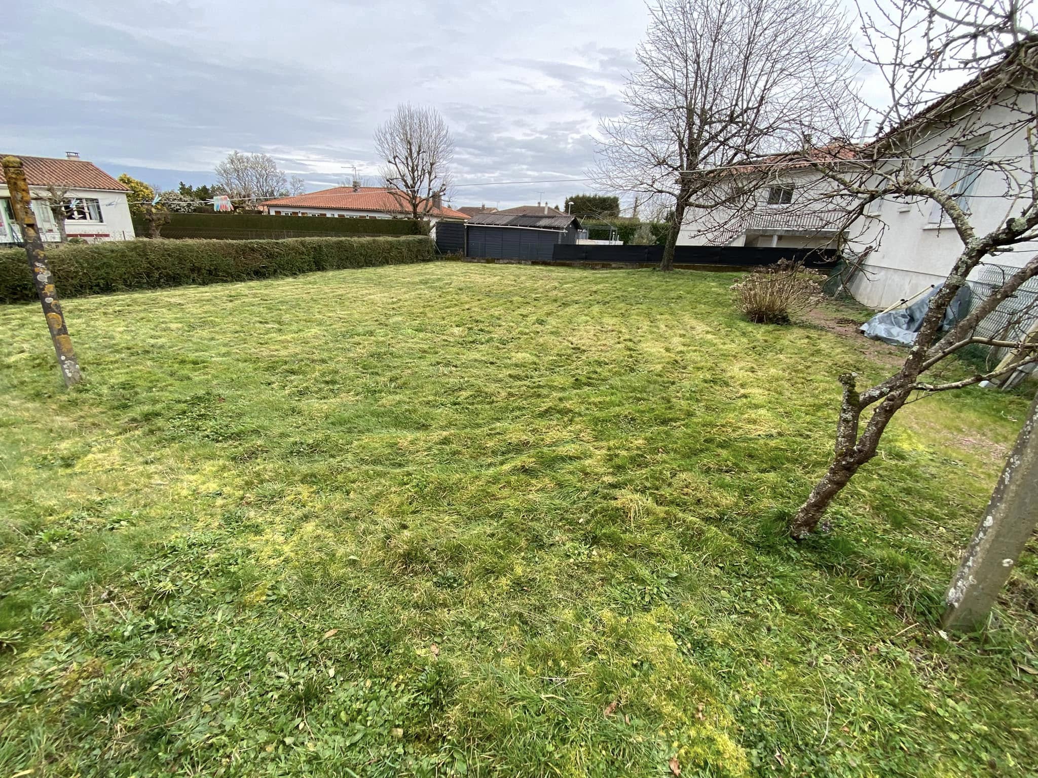 Entretien espace vert, taille et tonte Niort Entretien espace vert, taille et tonte Niort